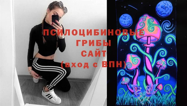 ешки Касимов