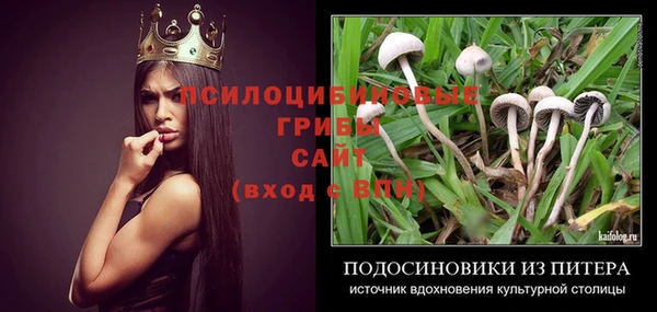 ешки Касимов