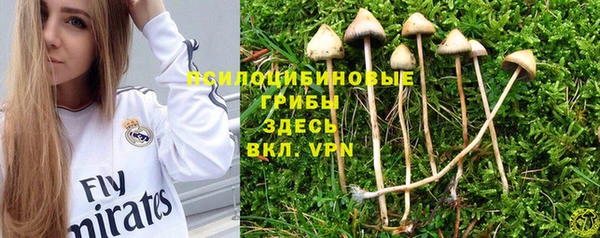 ешки Касимов