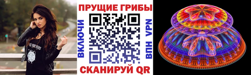 Галлюциногенные грибы Psilocybine cubensis  Купить закладки  Беломорск 